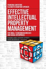 Effective Intellectual Property Management for Small to Medium Businesses and Social Enterprises