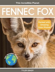 Fennec Fox
