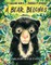 A Bear Belongs