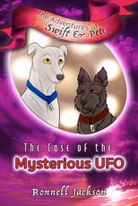 The Case of the Mysterious UFO