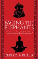 Facing the Elephants