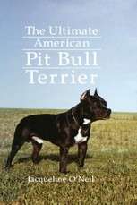 The Ultimate American Pit Bull Terrier