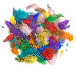 Plunksnos 4-7cm 10g ryškios mix sp