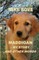Maddigan - My Story. And Other Words