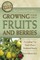 The Complete Guide to Growing Your Own Fruits and Berries  Everything You Need to Know Explained Simply (el. knyga)
