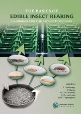 The Basics of Edible Insect Rearing