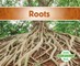 Roots