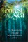 Forest of the Sea