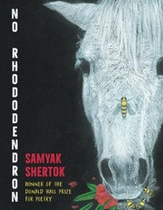 No Rhododendron