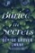 Buried in Secrets
