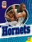 Charlotte Hornets