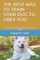 The Best Way to Train Your Dog to Obey You