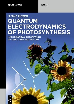 Quantum Electrodynamics of Photosynthesis