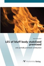 LES of bluff body stabilized premixed