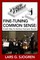 Fine-Tuning Common Sense: A Safe Way To Achieve Fantastic Results