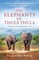 The Elephants of Thula Thula