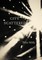 City Scattered: Cabaret for Four Voices