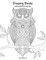Dreamy Birds Coloring Book for Grown-Ups