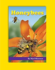 Honeybees