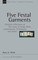 Five Festal Garment