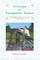 Critique of Management Reason