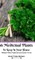 16 Medicinal Plants to Keep In Your House Bilingual Edition English Germany Standar Version
