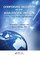 Corporate Security in the Asia-Pacific Region