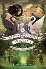 Pagaliau ilgai ir laimingai. Trečia „Gėrio ir blogio mokykla“ knyga