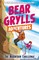 Grylls, B: Bear Grylls Adventure 10: The Mountain Challenge
