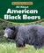 All about American Black Bears