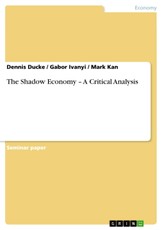 The Shadow Economy - A Critical Analysis