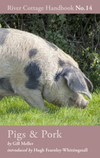 Pigs & Pork