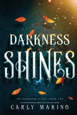 Darkness Shines