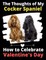 The Thoughts of My Cocker Spaniel