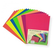 Kartonas A4/20l 225g PenWord Fluo MIX