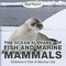 Baby: Ocean Alphabet of Fish and Marine Mammals | Children's