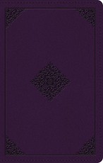 ESV Giant Print Personal Size Bible, Red Letter