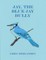 Jay, The Blue Jay Bully