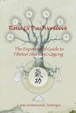 Basic Qi Dao Workbook