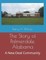 The Story of Palmerdale, Alabama