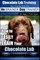 Chocolate Lab Training with the No Brainer Dog Trainer We Make It That Easy! -