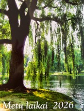 Sieninis kalendorius 2026. Metų laikai