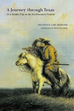 A Journey Through Texas