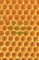 Honeycomb & Diamonds