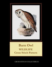 Barn Owl
