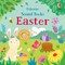Taplin, S: Easter Sound Book