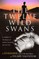 The Twelve Wild Swans