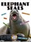Elephant Seals