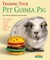 Training Your Guinea Pig
