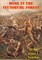Rome In The Teutoburg Forest